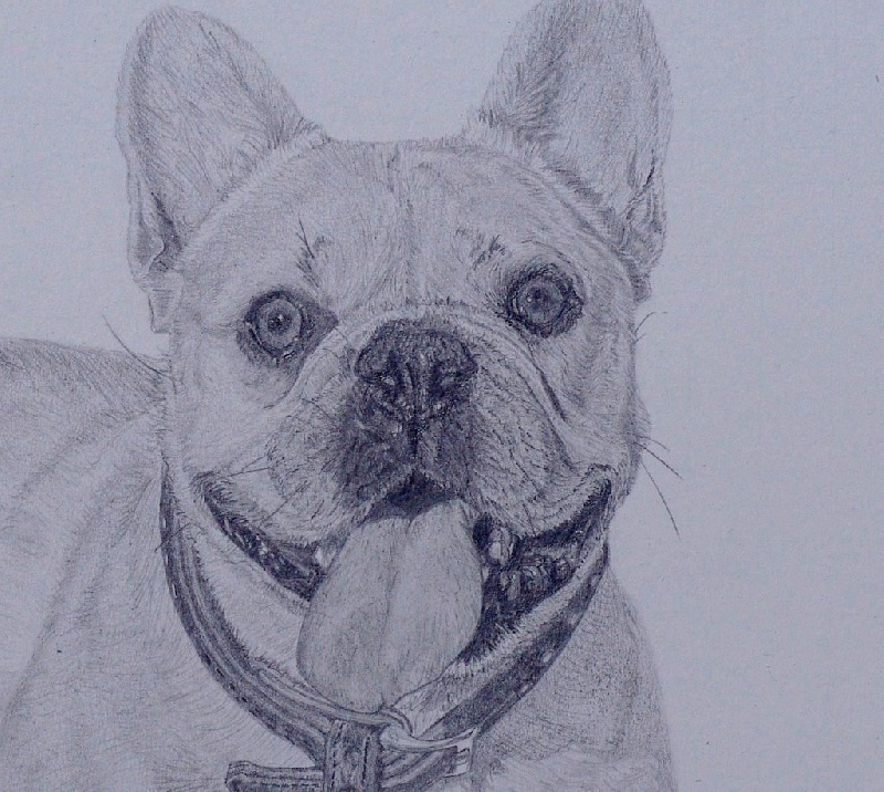 dessins